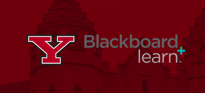 YSU Blackboard Login Portal